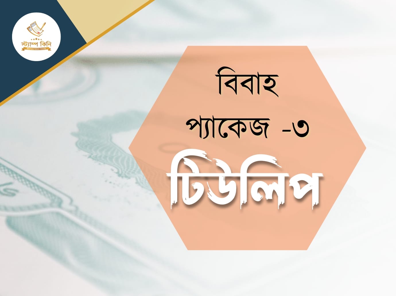 বিবাহ প্যাকেজ ৩ টিউলিপ স্ট্যাম্পকিনি বিবাহ প্যাকেজ ৩ টিউলিপ
